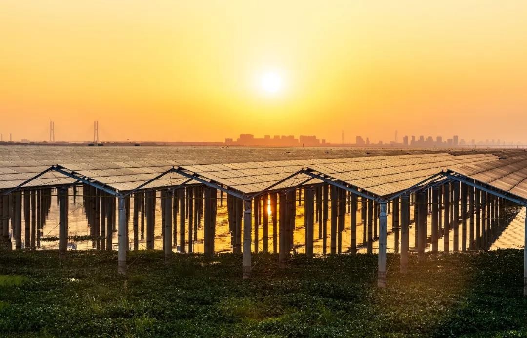 Beyond Success - www.taiyangcheng.comtaiyangcheng.com Achieved a Preferred Scale of 1120 MW in Jiangxi